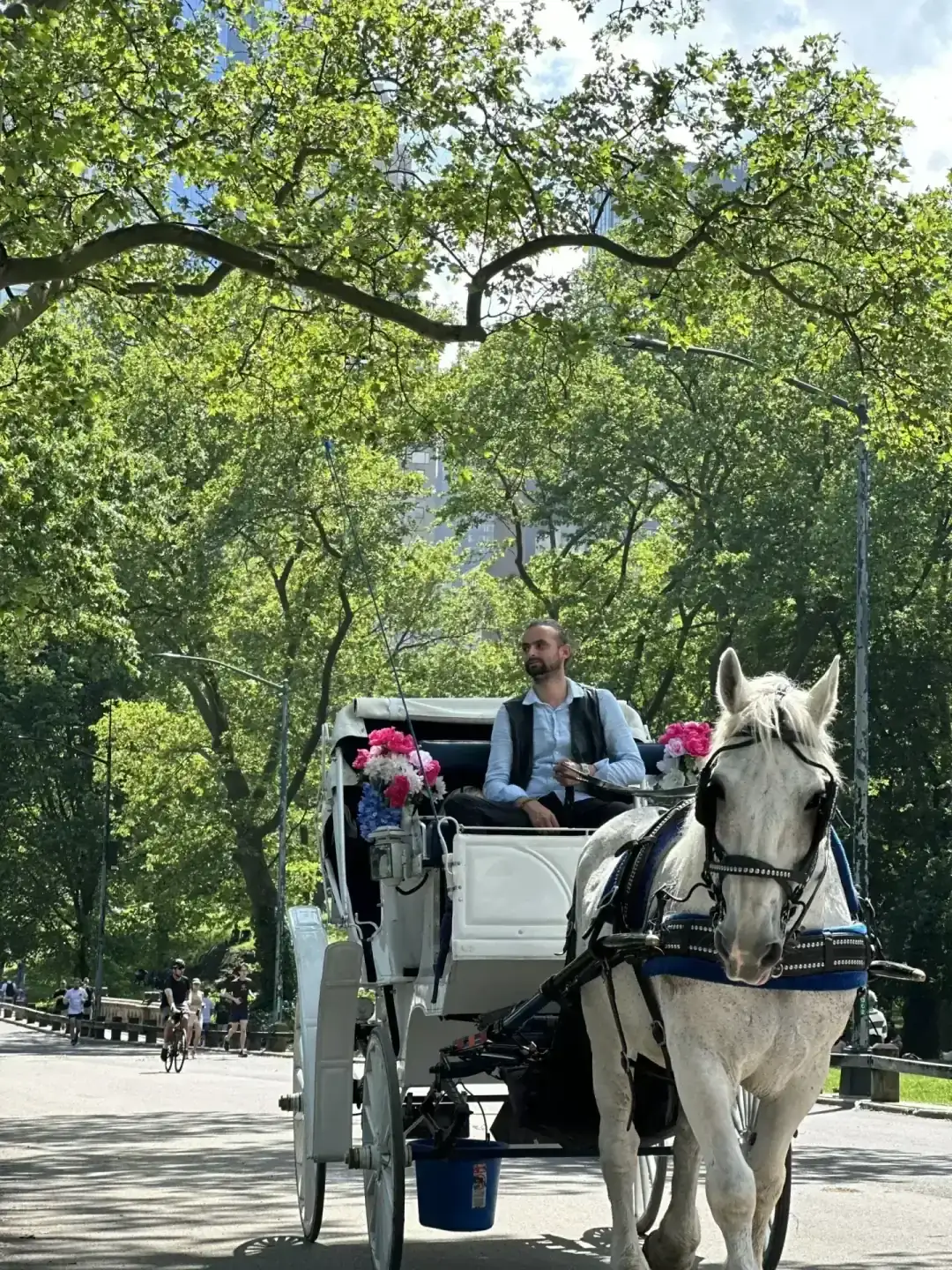 NY Central Park Tour — Central Park