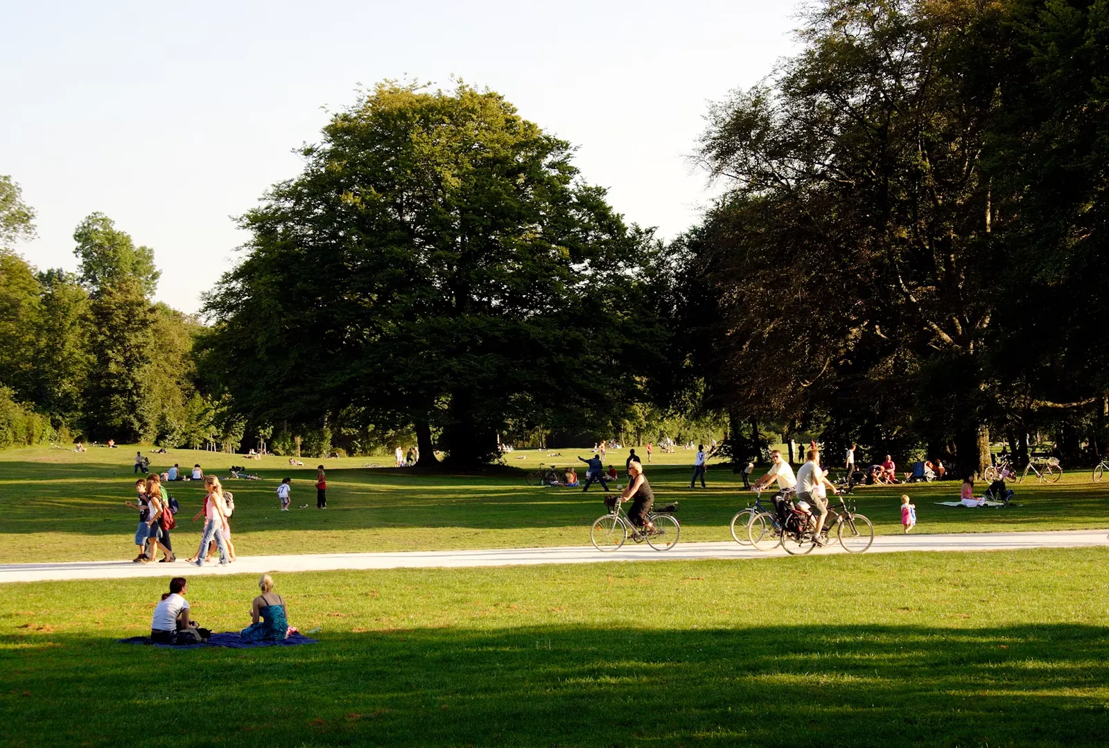 Central Park lawn at golden hour with cyclists