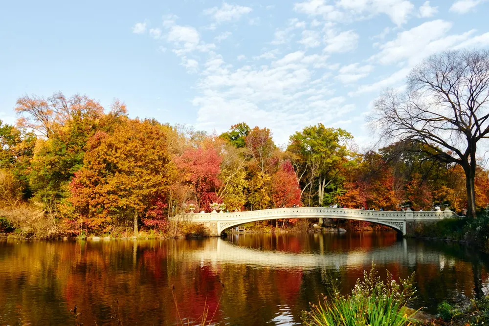 Bow Bridge in Central Park