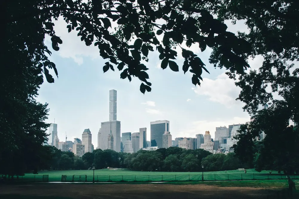 Sheep Meadow in Central Park