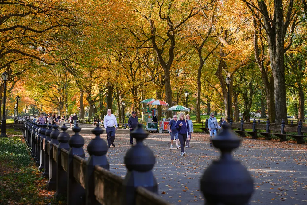 The Mall & Literary Walk in Central Park