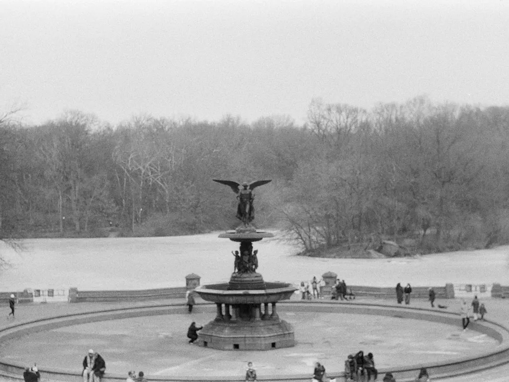Central Park Walking Tour — Central Park